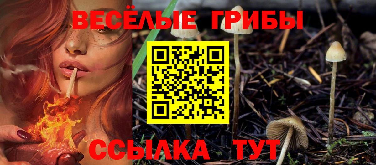 Галлюциногенные грибы MAGIC MUSHROOMS  Вход с VPN  Кирово-Чепецк 